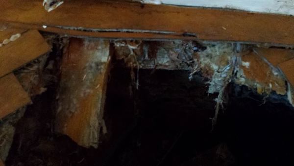 Pauls Plastering Dry Rot