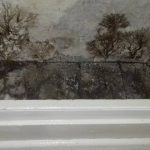 dry rot property in llanelli pauls plastering