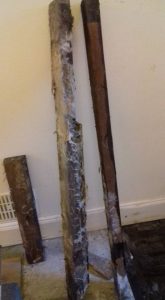 old joists contain dry rot